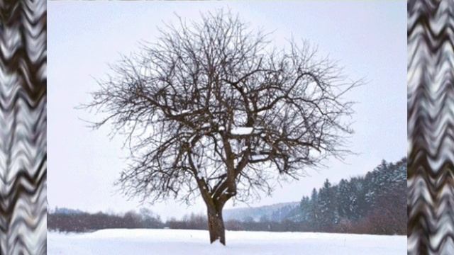 СПАСЕНИЕ ДЕТЕЙ!!! КУДА ПРОПАЛИ пупсы? КТО УКРАЛ у Нелли??? Игра в дочки матери смотреть онлайн