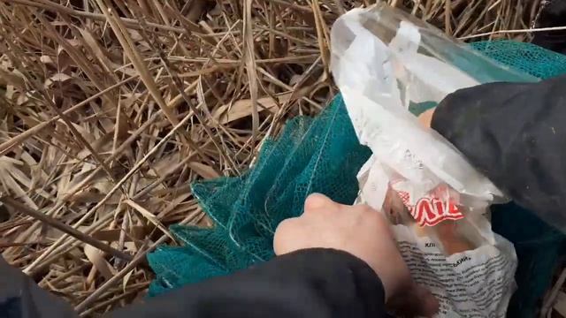 Ловля раков весной 2022. Утопил раколовку, оставил на 2 дня смотреть онлайн