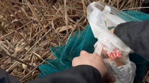 Ловля раков весной 2022. Утопил раколовку, оставил на 2 дня