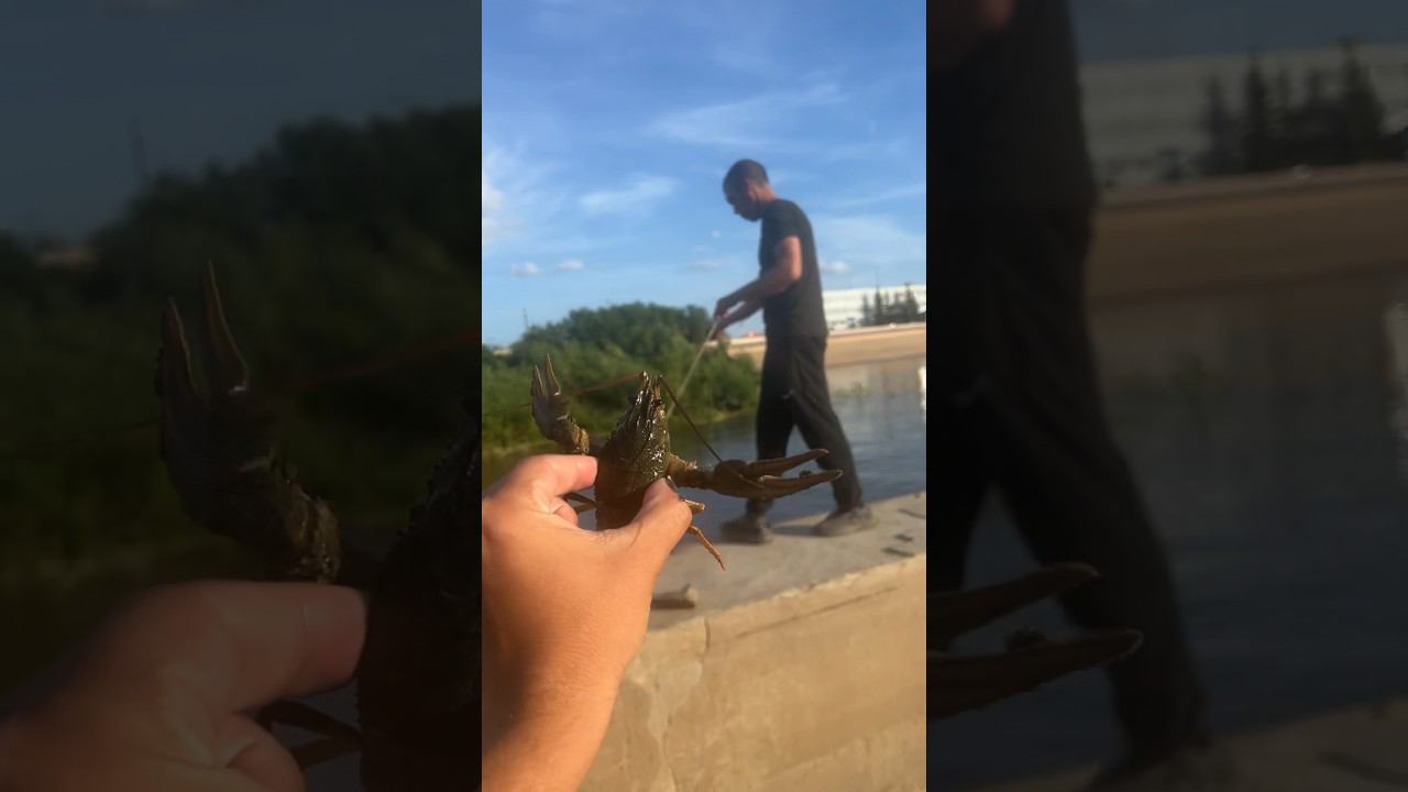 Клевая рыбалка в Кургане, наловили ведро огромных раков смотреть онлайн