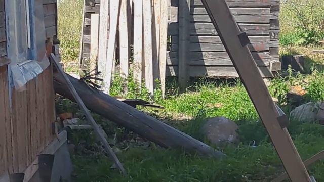 Урожай, бетон, и маленький преобразолюб! Арбузы для Рождества.Разговоры у земли 16.