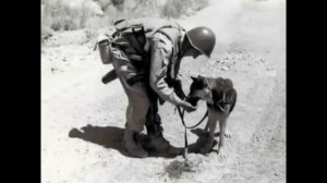 Игорь Крылов  Афганистан тебя забыть бы рад.  Пограничникам посвящается.