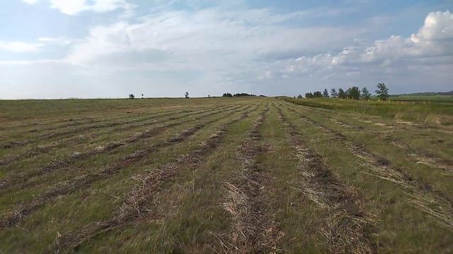 Китайский пресс подборщик 870 на Т 25 первые впечатление смотреть онлайн