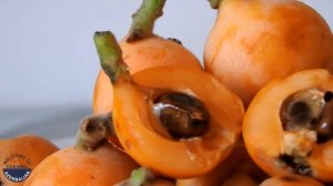 Что такое мушмула японская и как ее едят?