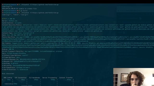 httpstat Development in Go смотреть онлайн