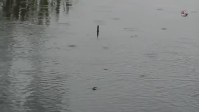 Рыбалка, Весна, Ловля на поплавочную удочку, Fishing, ikan, câu cá, на Озере Карасун, Краснодар смотреть онлайн