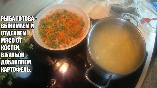 Цирковые Шоу с Трюками и Фокусами