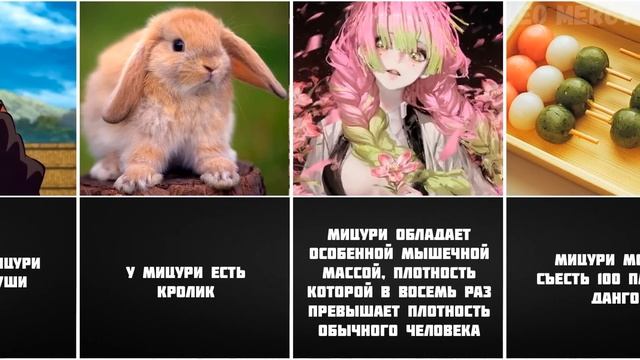 24 Интересных фактов Мицури Канроджи смотреть онлайн