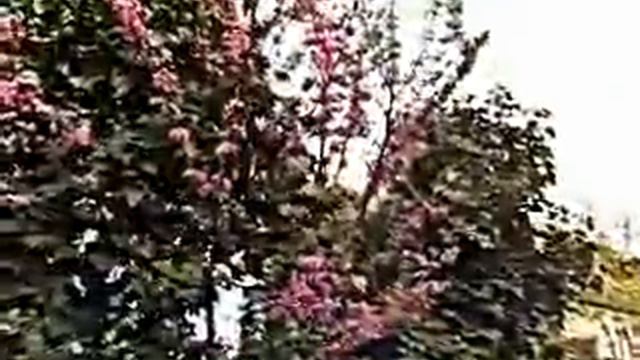 Утро... смотреть онлайн