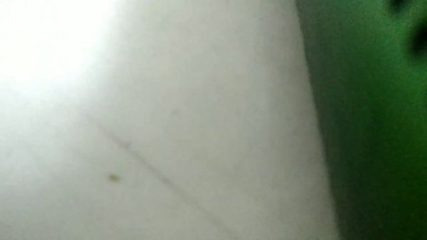 Внутренний фильтр для аквариума  BARBUS FILTER 003. И компрессор VENUSAQUA AP-208 для аквариума