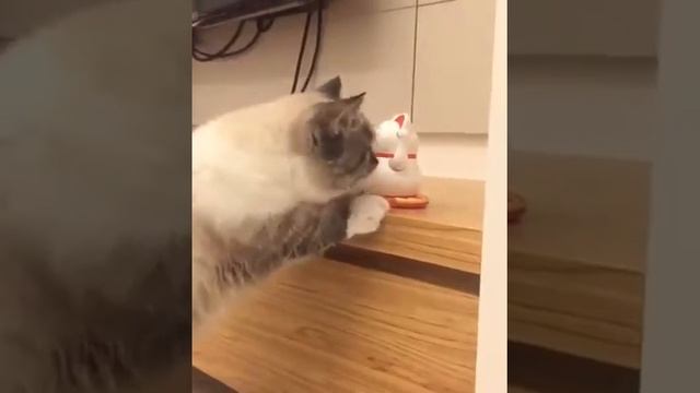 Манэки Нэко смотреть онлайн