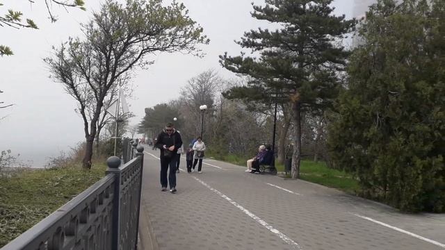 АНАПА. Вы думаете птички поют? Это мелодия звонка в телефоне. смотреть онлайн