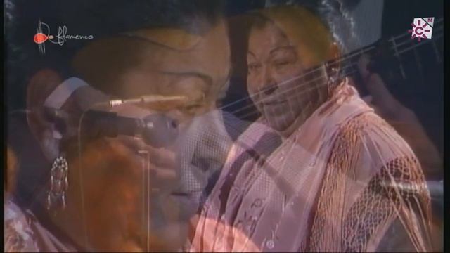 Seguiriya. Maria Soleá. 1990 смотреть онлайн