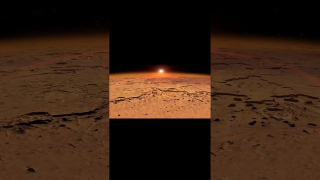 Виды Венеры смотреть онлайн