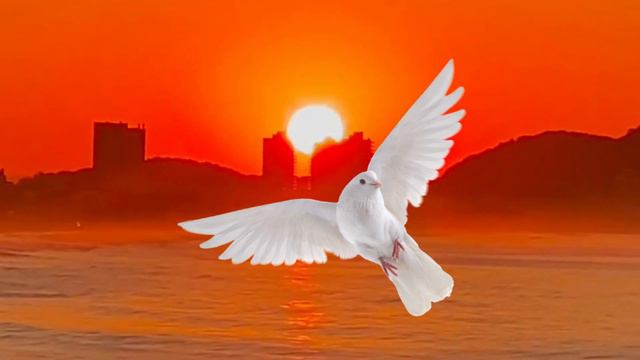 Oracion Al Espiritu Santo Cada Dia Hoy Domingo 12 De Febrero 2023 En El Cenaculo | #orarenelcenacul