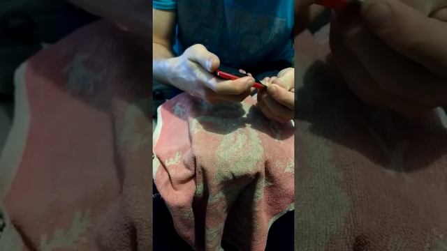 Как снять сенсор (продолжение) / Замена сенсора на lenovo смотреть онлайн