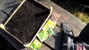 Самый простой ЯЩИК ДЛЯ РАССАДЫ своими руками // Посев на рассаду кочанного салата