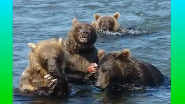 Сахалин смотреть онлайн