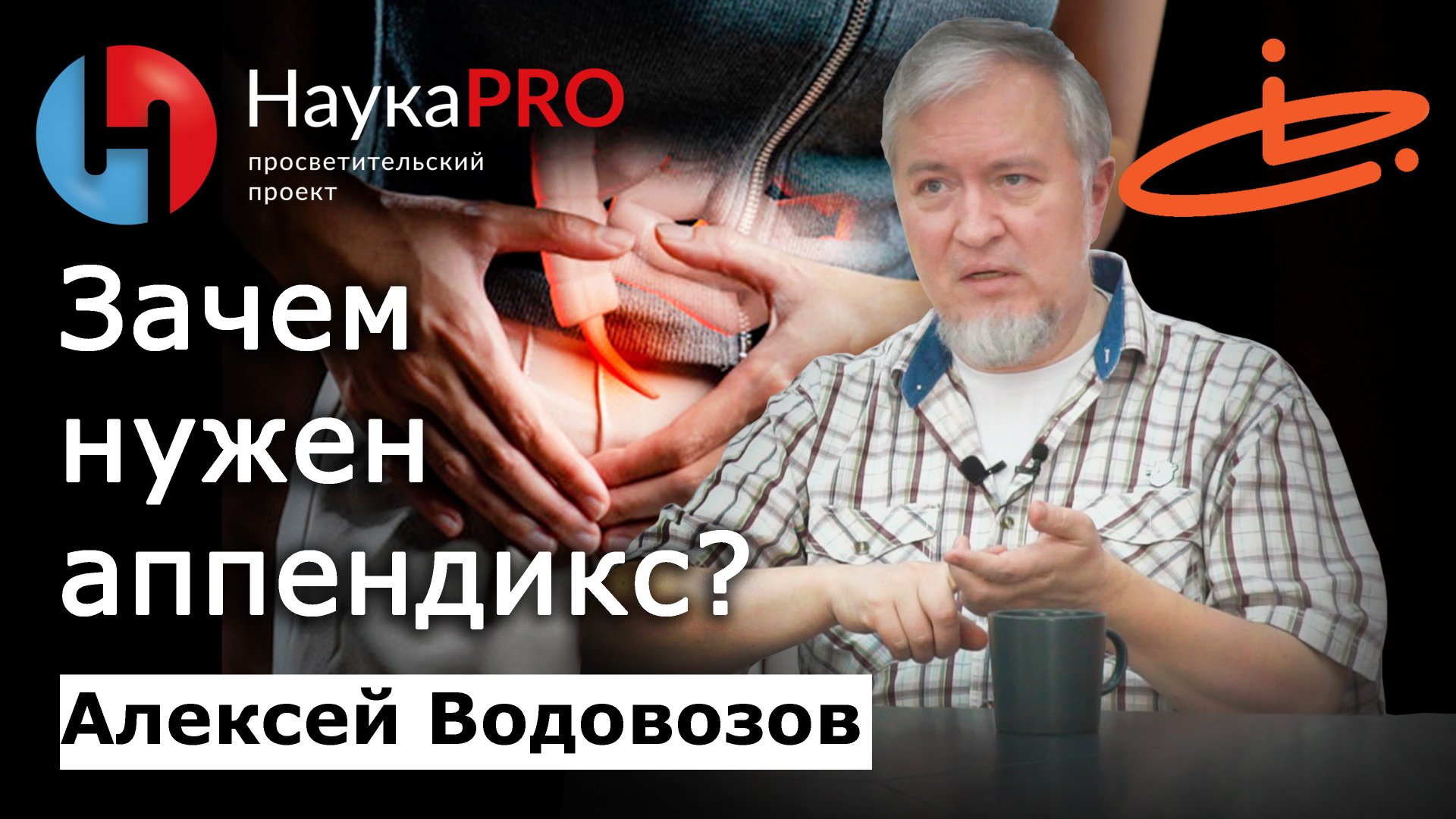 Зачем нужен аппендикс? – Алексей Водовозов | Лекции по медицине | Научпоп