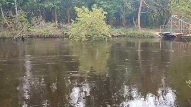 Ловля ЖЕРЕХА весною коли він АКТИВНИЙ смотреть онлайн