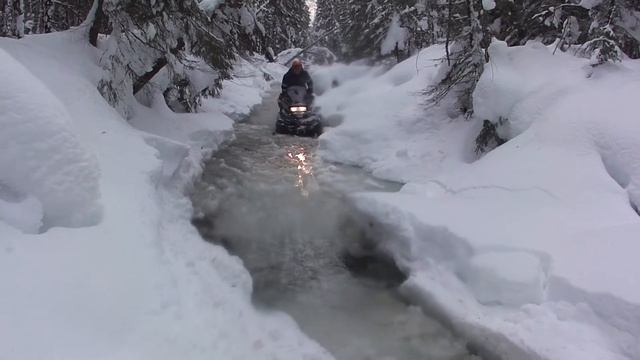 Новый смотреть онлайн