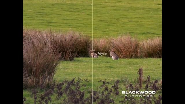 Pard DS35 70 LRF Gen2 - Daytime- Evening Rabbit Shooting смотреть онлайн