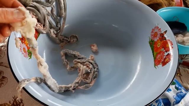 Ішек Қарын Тазалау. Қазақтың қыз келіншектеріне Онлайн Мастер Класс. смотреть онлайн