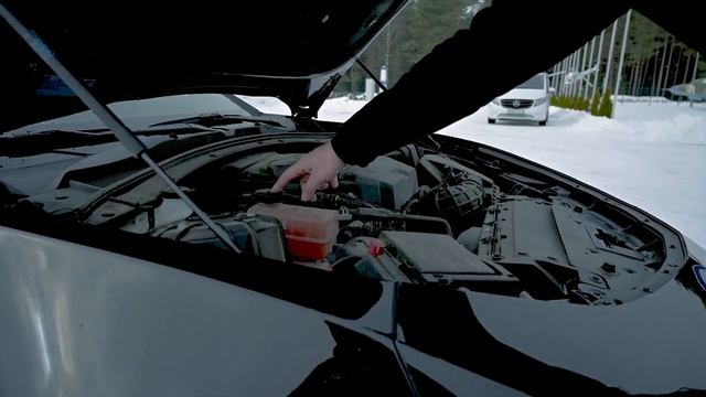Прокатный CHEVROLET CAMARO VI - САМЫЙ КРАСИВЫЙ? | Особенности, минусы, чем хорош смотреть онлайн