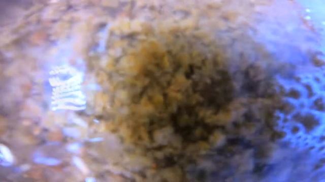 Stropharia Mushroom Farm смотреть онлайн