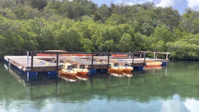 A Day with Ray | Swim with stingray, kayak to a deserted island with exotic animals смотреть онлайн