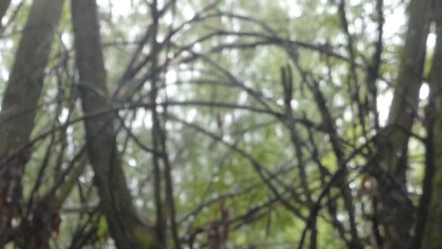 ходовой июль #8 (+рассказ ч.5) смотреть онлайн