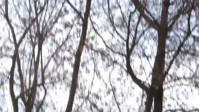 Запуск петарды "римская свеча" смотреть онлайн