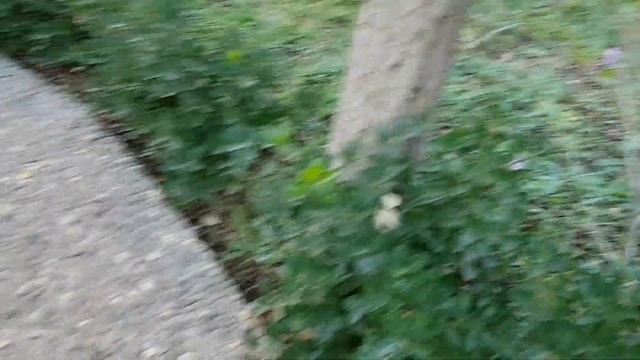 Массажная тропа. Полезно для здоровья!!! смотреть онлайн