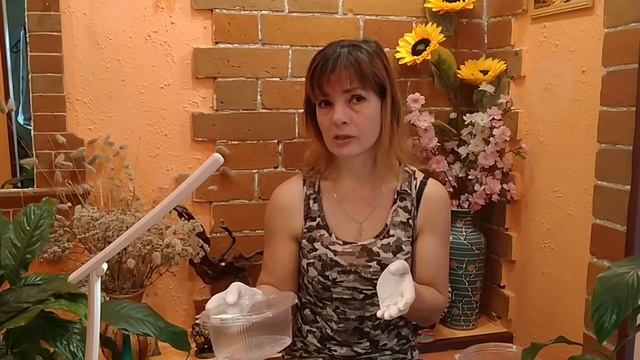 ЭУСТОМА ПОСЕВ НА РАССАДУ. КАК СЕЯТЬ ЭУСТОМУ? СЕКРЕТЫ ПОСЕВА ЭУСТОМЫ. смотреть онлайн