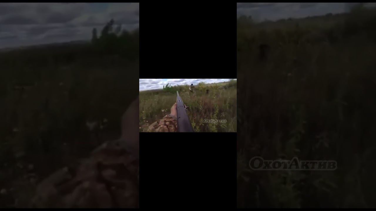 Безопасность? Не, не слышал... смотреть онлайн