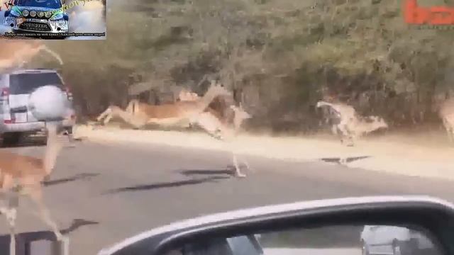 Авто приколы на дорогах - выпуск №7 - нарезка, видео приколы 2014