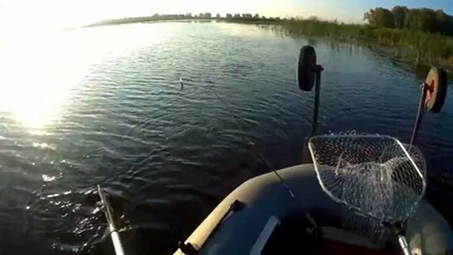 Вялый клев в августе. Клев щуки в августе смотреть онлайн