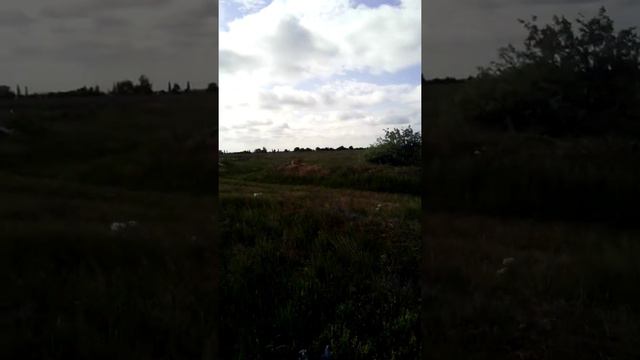 Завет Ленина, свалка смотреть онлайн
