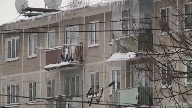 Новая строчка в квитанциях ЖКХ смотреть онлайн