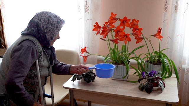 ГБСУСОССЗН Иловский дом-интернат для престарелых и инвалидов смотреть онлайн