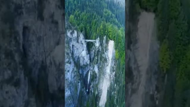 Чудеса природы смотреть онлайн