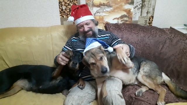 Всех с наступающим! Подари приюту Новый Год! смотреть онлайн