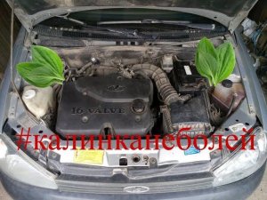 замена датчика фаз калина 1,6 16V