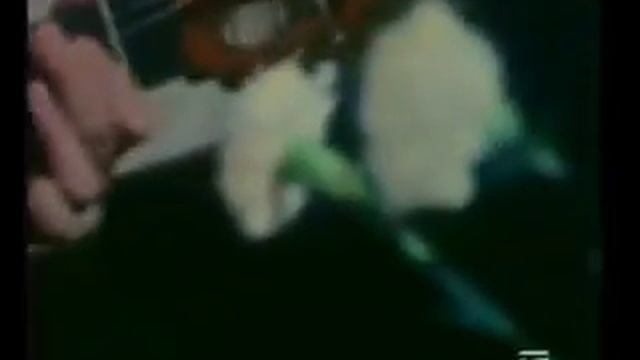 G Botchkina D Bogdanov Berkovskiy 30 let nazad смотреть онлайн