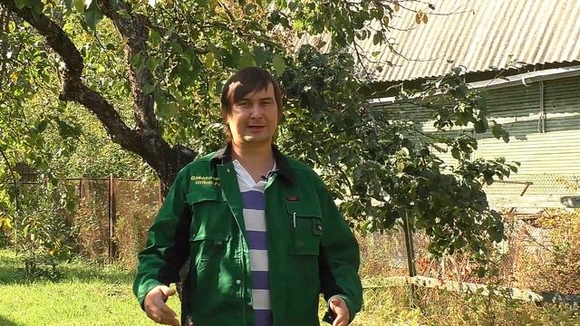 Влагозарядный полив осенью смотреть онлайн