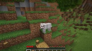 ❤️ Майнкрафт но Я СТАЛА ПОМОЩНИКОМ СОБАКОЙ