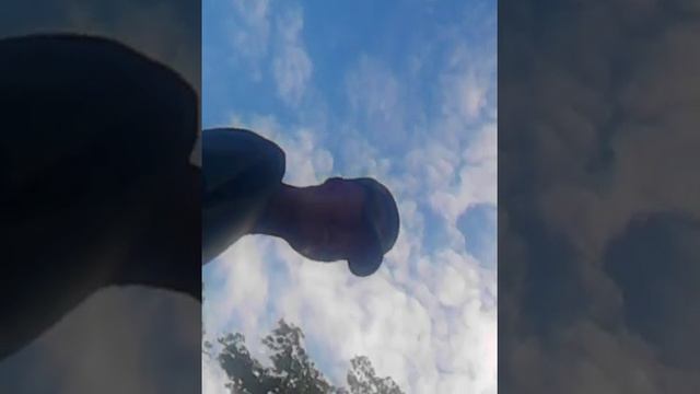 Virno смотреть онлайн