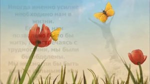Притча Урок Бабочки