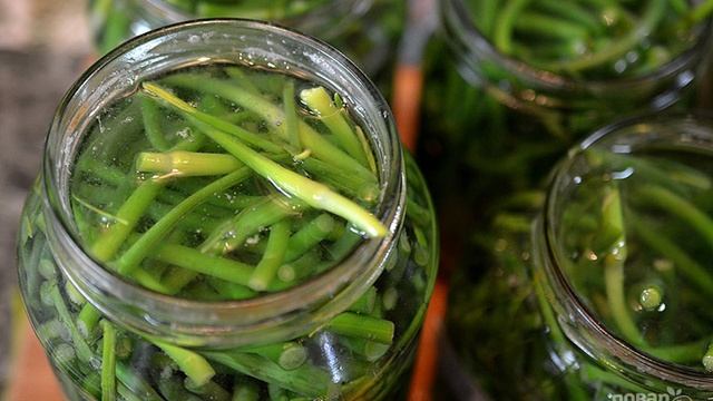 Сборник рецептов