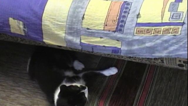 Злобное Животное смотреть онлайн